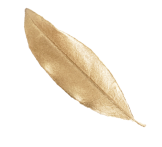luchiana