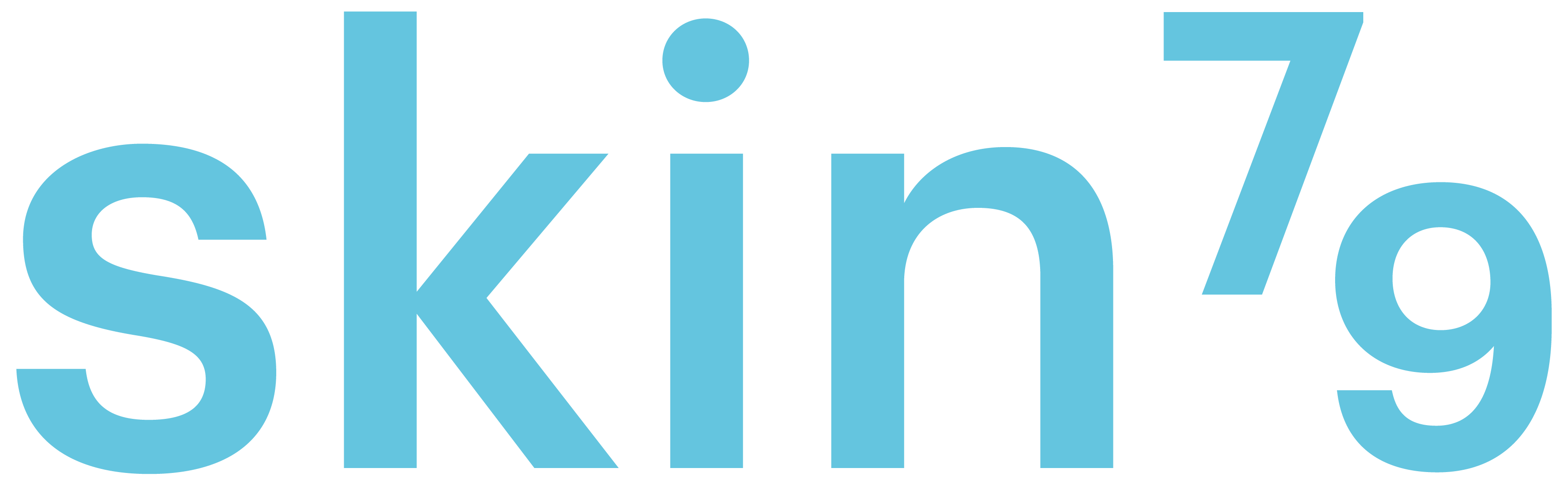 skin-logo